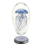 lámpara medusa
