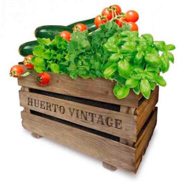 CAJA CULTIVO HUERTO VINTAGE ECO