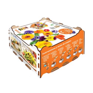 CAJA CULTIVO DE FLORES COMESTIBLES - Imagen 2