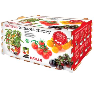 CAJA CULTIVO DE TOMATES CHERRY - Imagen 2